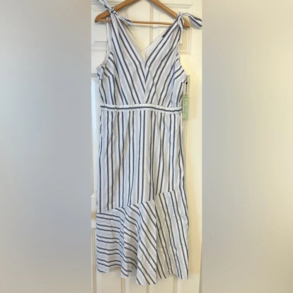 Sam Edelman Blue White Silver Metallic Stripe Sleeveless Maxi Dress Size Large - Picture 2 of 14